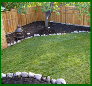 lawn and garden
