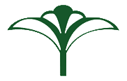 Your Company